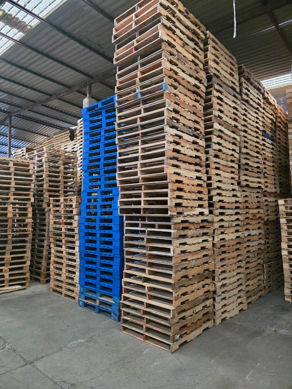 Tarimas de madera